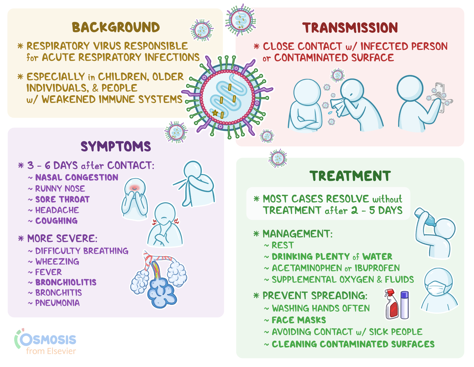 Human metapneumovirus: What Is It, Transmission, Signs and ...